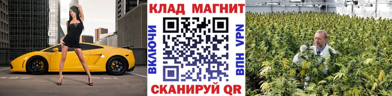 Виды наркотиков купить Чекалин Альфа ПВП  Каннабис  ЭКСТАЗИ  ГАШ  Меф мяу мяу 