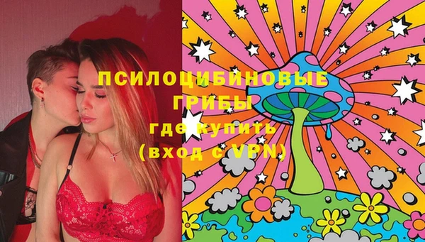 прущие грибы Пересвет