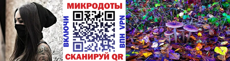 что такое   Чекалин  Галлюциногенные грибы мицелий 